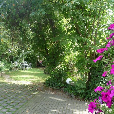 Biozertifiziertes Hotel Hoepfigheimer Hof Mit Wein-Shop Steinheim an der Murr Kültér fotó