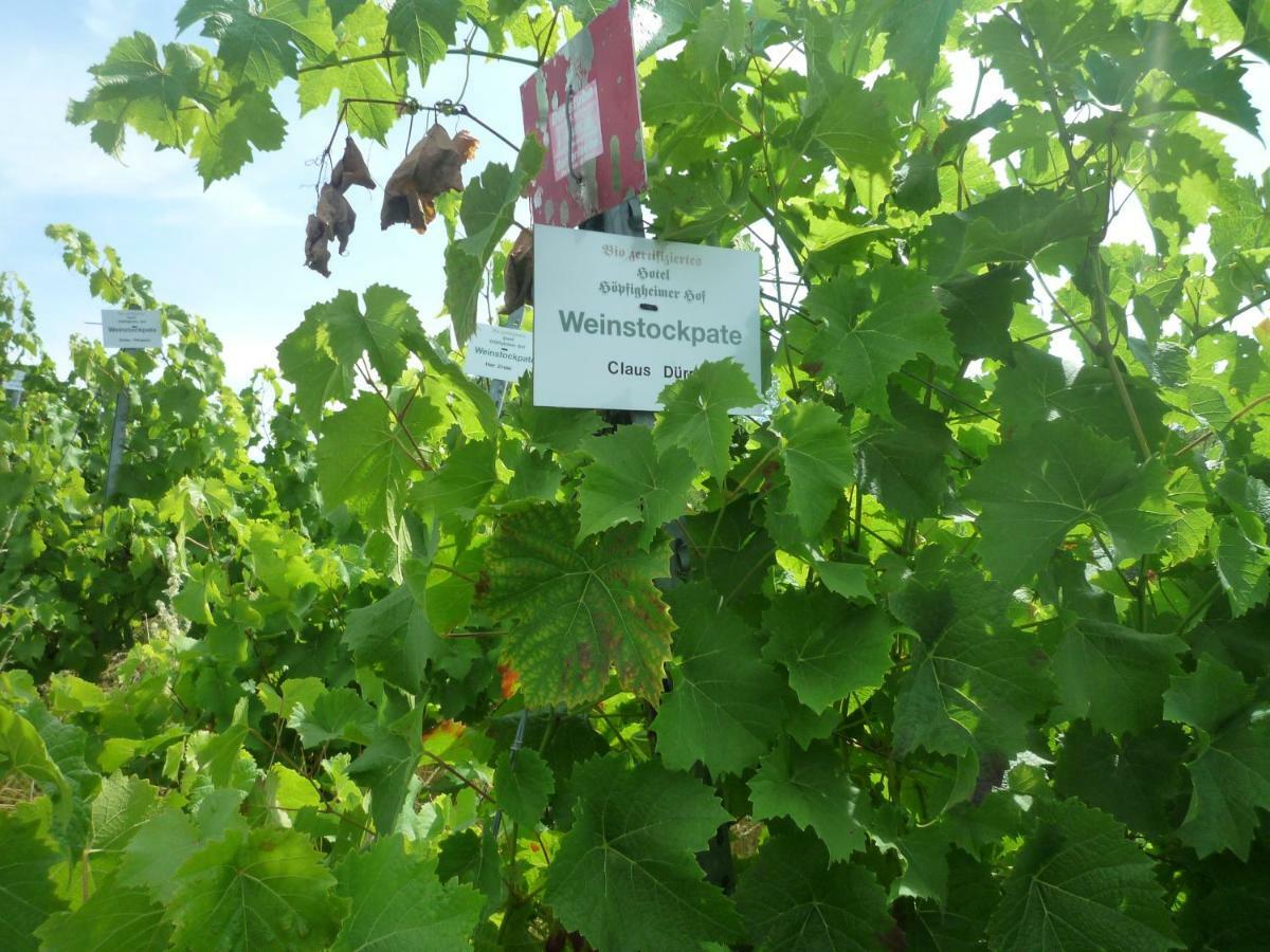 Biozertifiziertes Hotel Hoepfigheimer Hof Mit Wein-Shop Steinheim an der Murr Kültér fotó